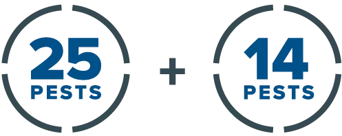 25 Pests + 14 Pests graphic